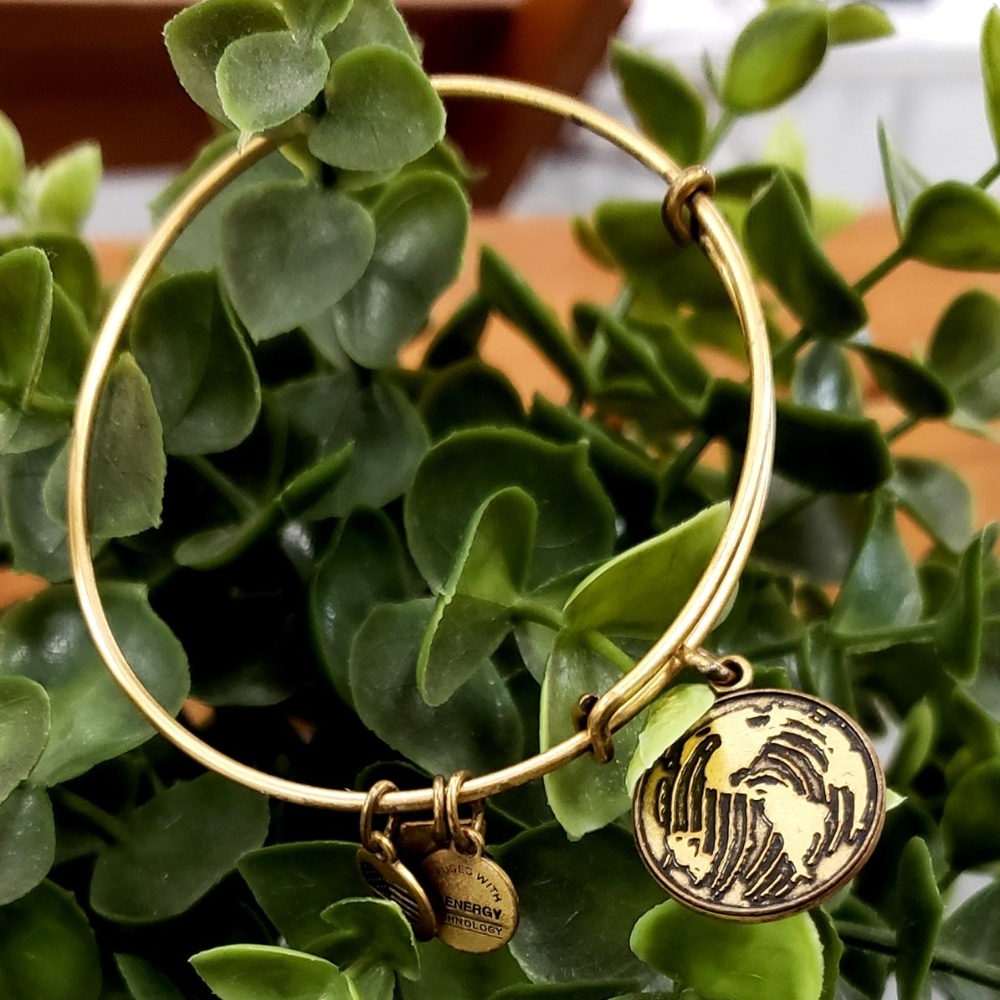 Alex and Ani "World Fingerprint" Charm Bracelet